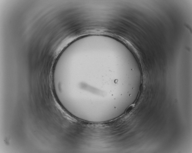 X0000103261432200809121913