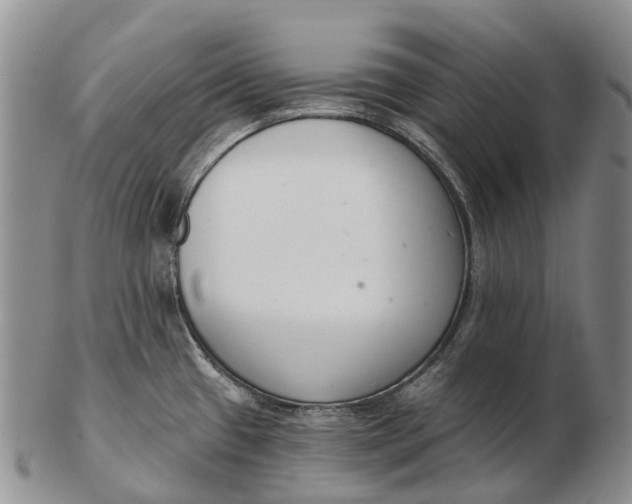 X0000103261433200809121913