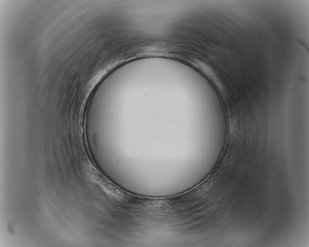 X0000103261435200809121913