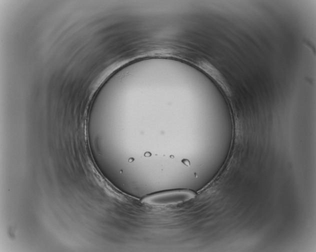 X0000103261436200809121913