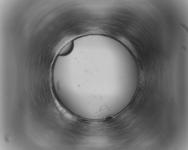 X0000103261439200809121913