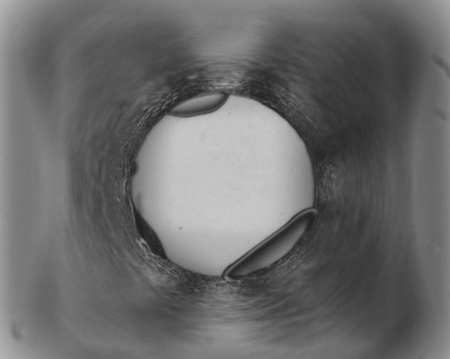 X0000103261441200809121912