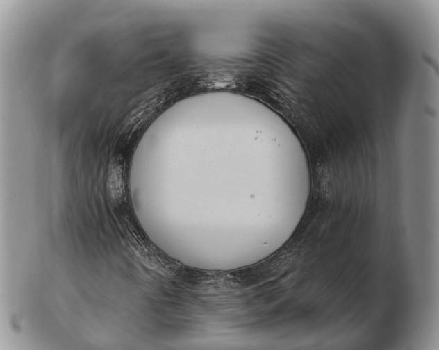 X0000103261442200809121912