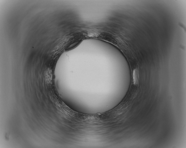 X0000103261443200809121912