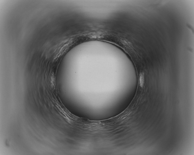 X0000103261444200809121912