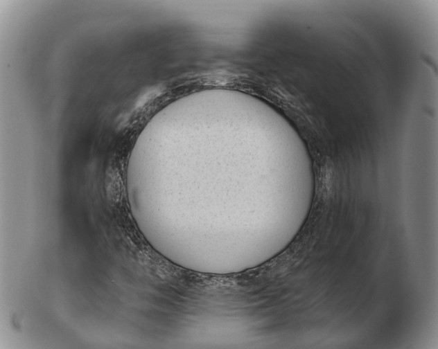 X0000103261446200809121912