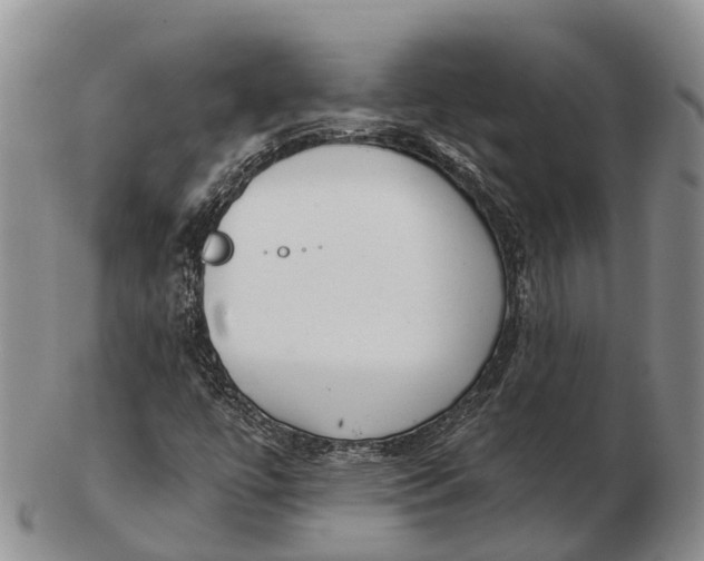 X0000103261447200809121912