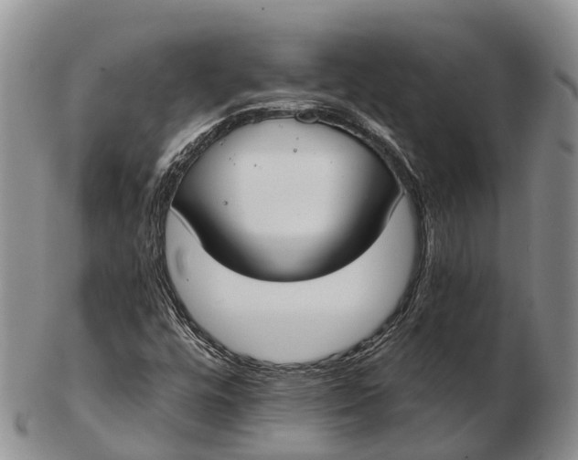 X0000103261448200809121912