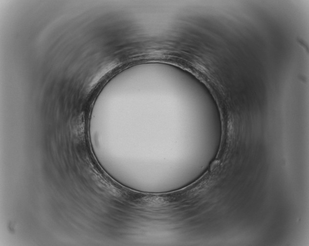 X0000103261450200809121912