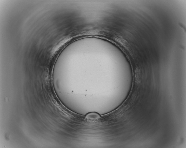 X0000103261452200809121912