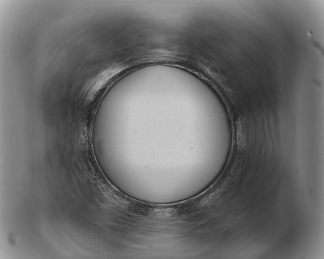 X0000103261453200809121912