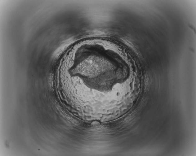 X0000103261455200809121912