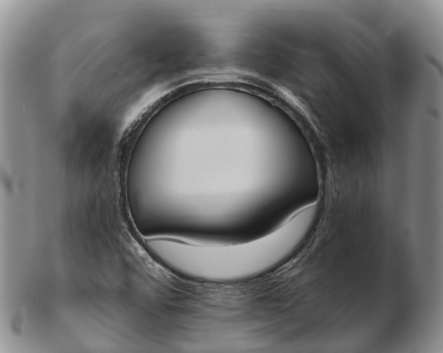 X0000103261456200809121912