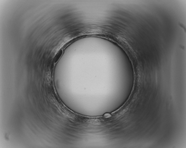 X0000103261457200809121912