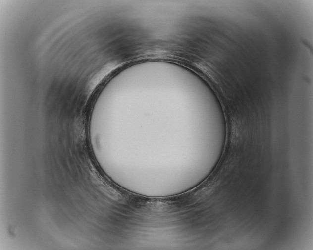 X0000103261458200809121912