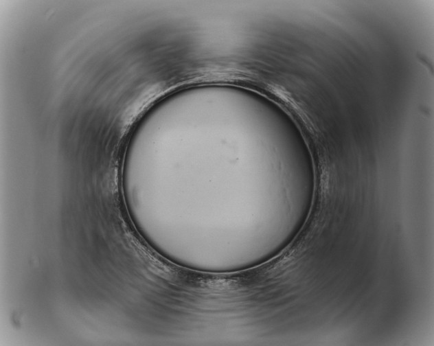 X0000103261459200809121912