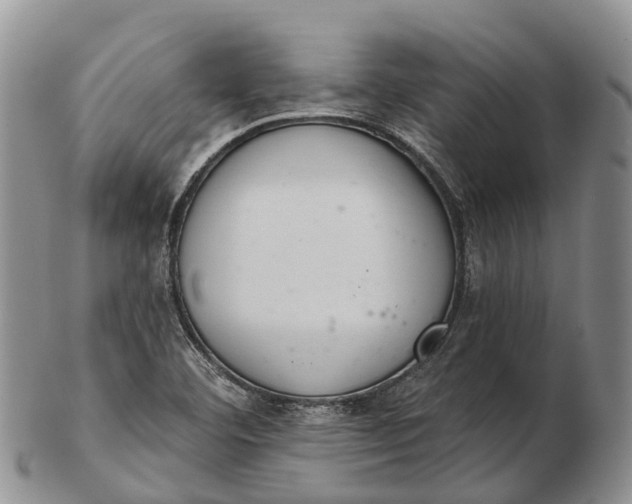 X0000103261460200809121912