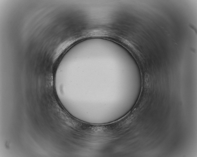 X0000103261461200809121912