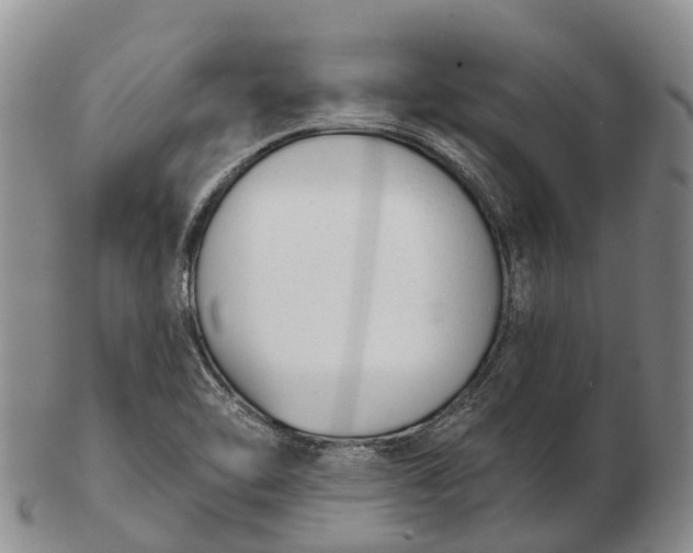 X0000103261462200809121912