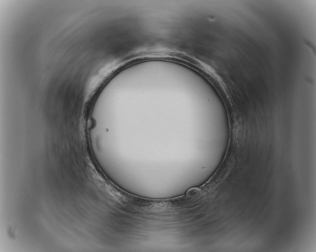 X0000103261464200809121912