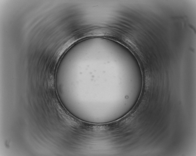 X0000103261465200809121912