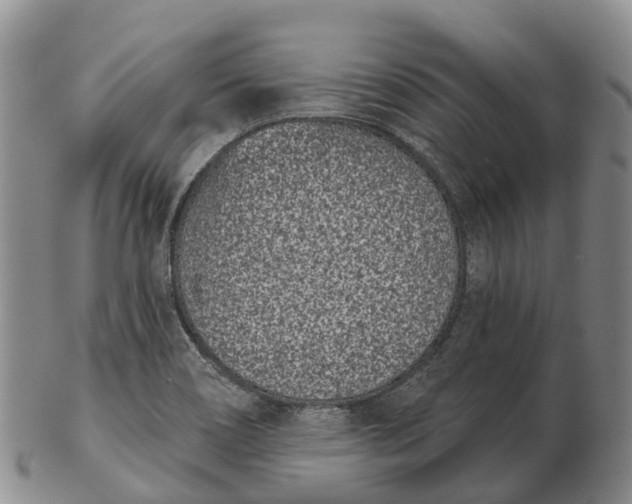 X0000103261466200809121912