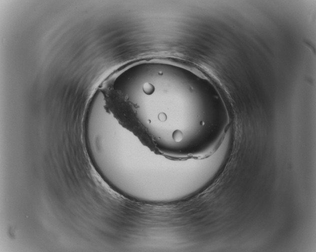 X0000103261468200809121912