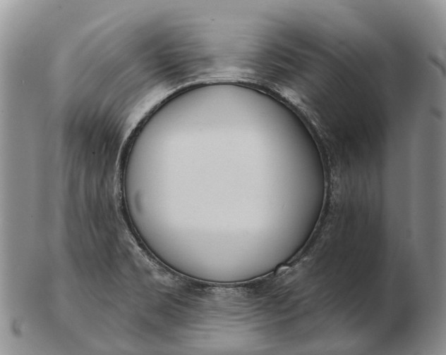 X0000103261469200809121912