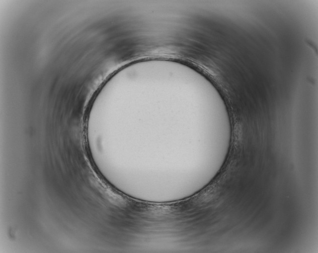 X0000103261470200809121912