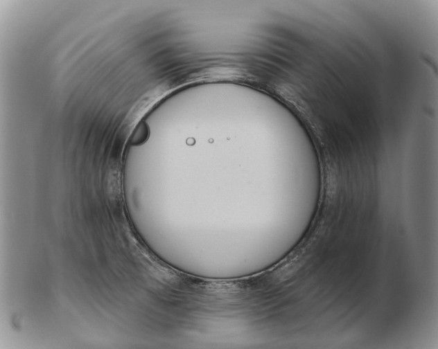 X0000103261473200809121912