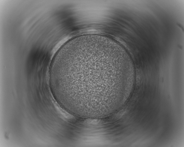 X0000103261474200809121912