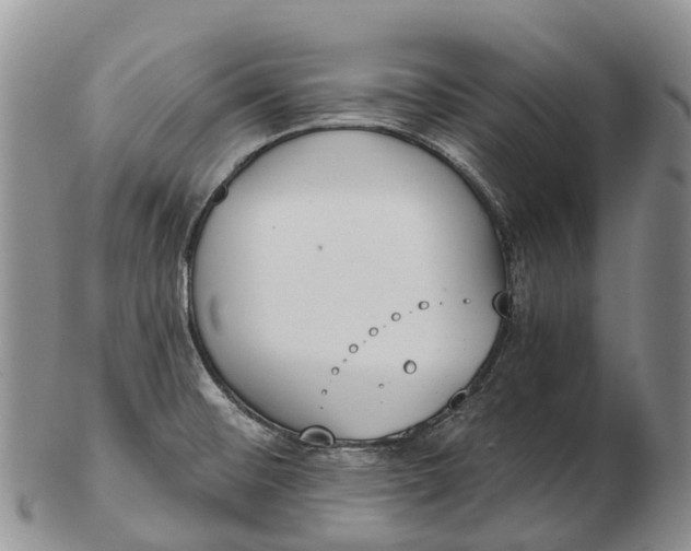 X0000103261476200809121912