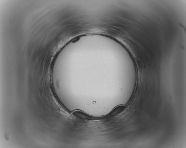 X0000103261477200809121912