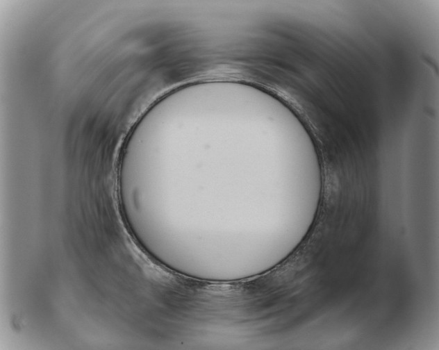 X0000103261478200809121912