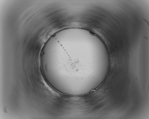 X0000103261479200809121912