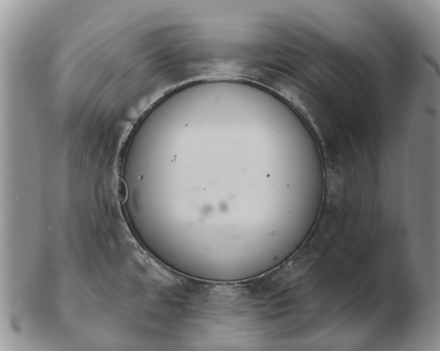 X0000103261480200809121912