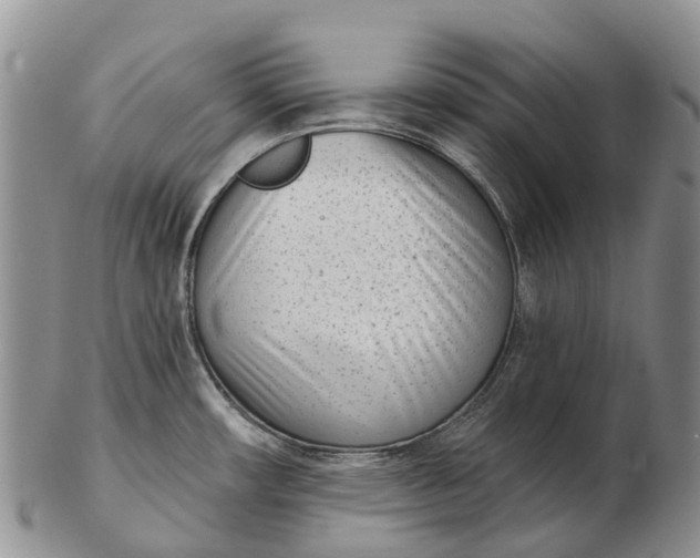 X0000103261482200809121912