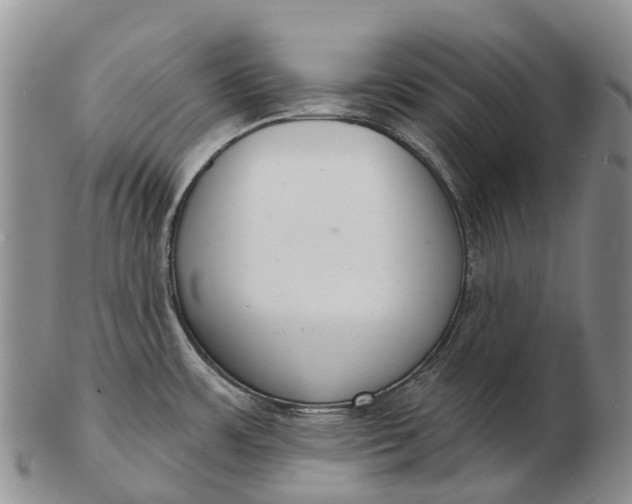 X0000103261483200809121911