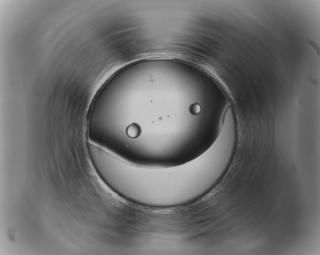 X0000103261484200809121911