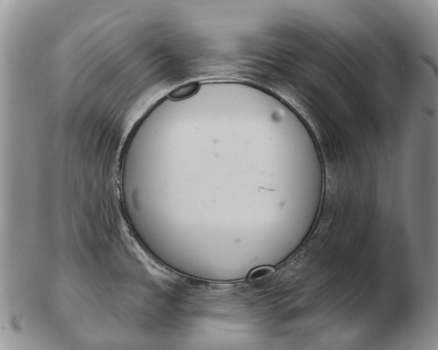 X0000103261485200809121911