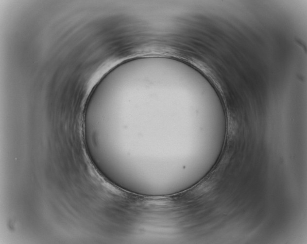 X0000103261486200809121911