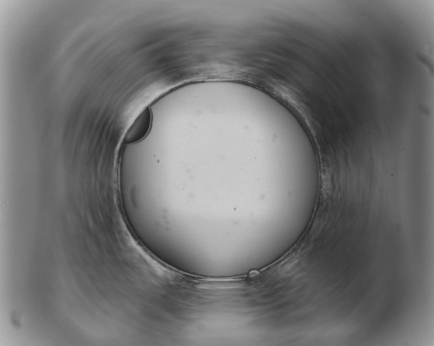 X0000103261487200809121911