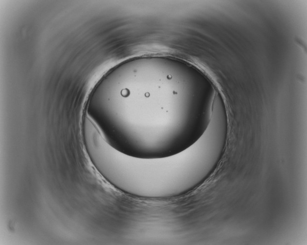 X0000103261488200809121911