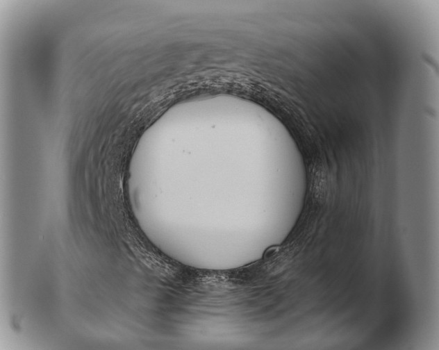 X0000103261489200809121911