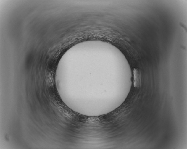 X0000103261491200809121911