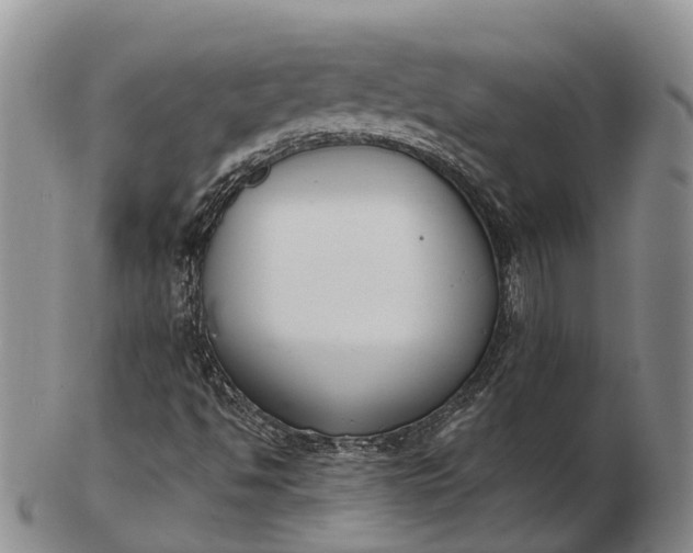 X0000103261494200809121911