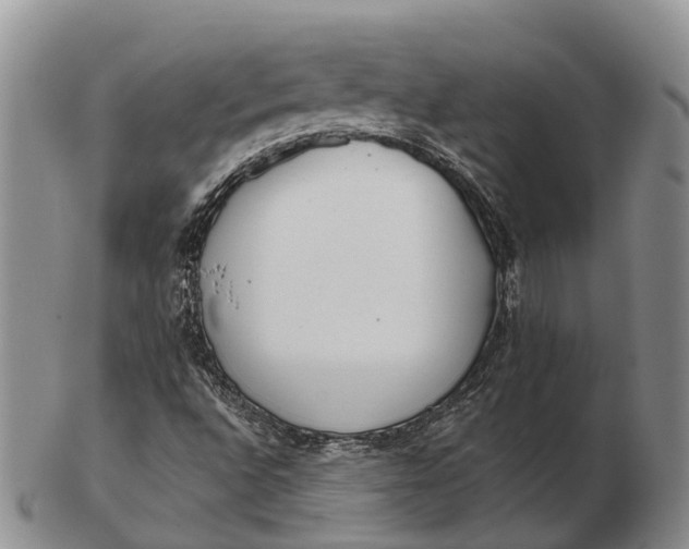 X0000103261496200809121911