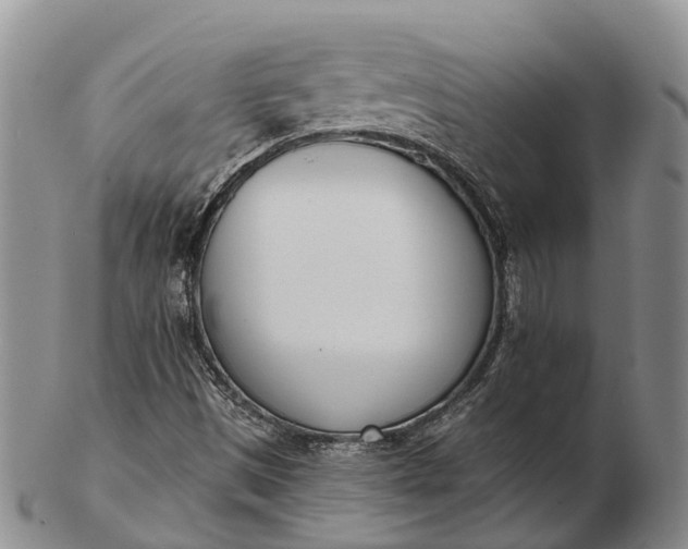 X0000103261497200809121911