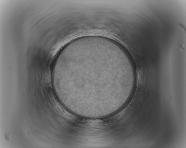 X0000103261498200809121911