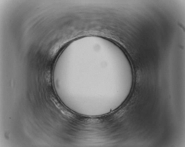 X0000103261499200809121911